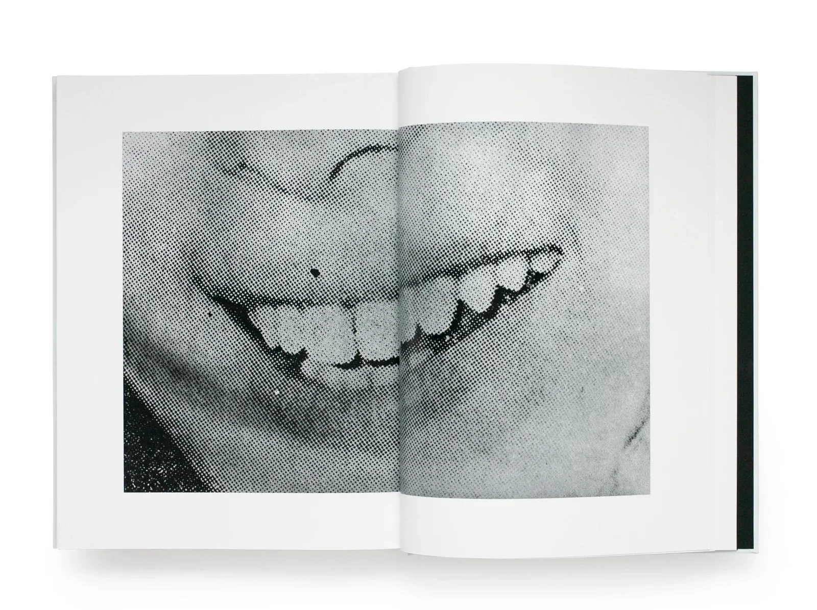 Daido Moriyama, Farewell Photography, plate 1