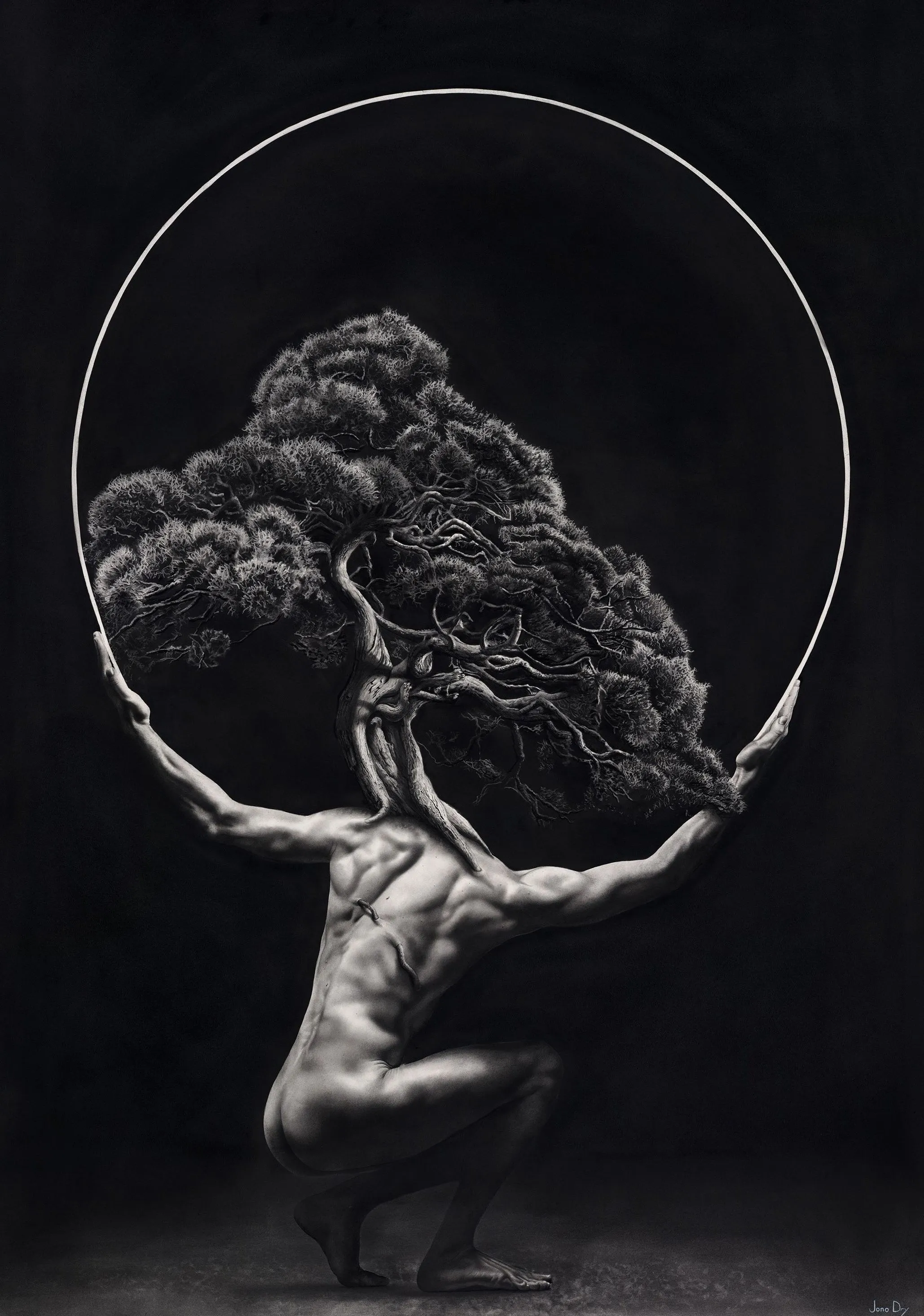 Jono Dry, graphite drawings and prints, plate 3
