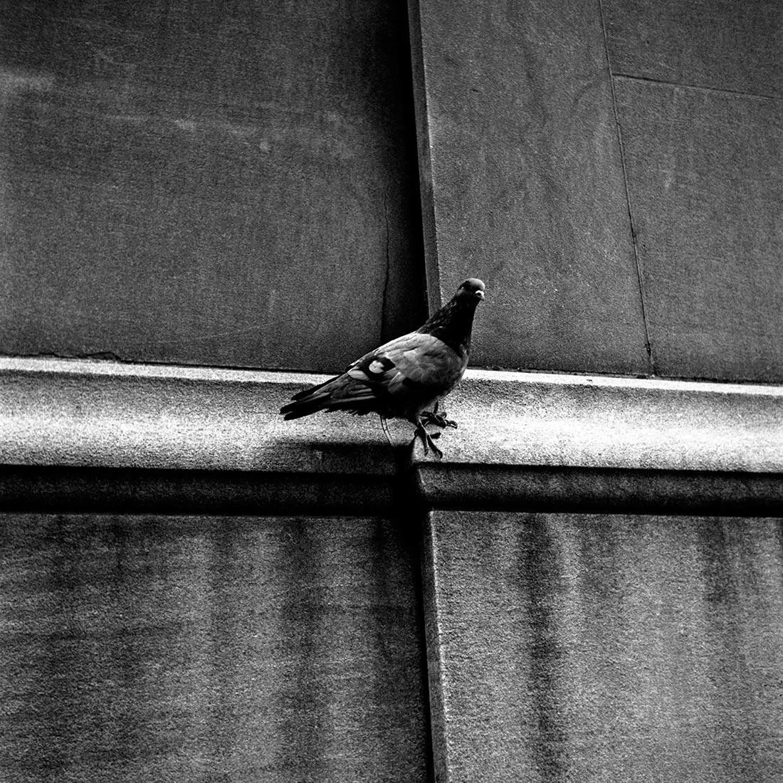 Vivian Maier, Street Photographs, plate 2