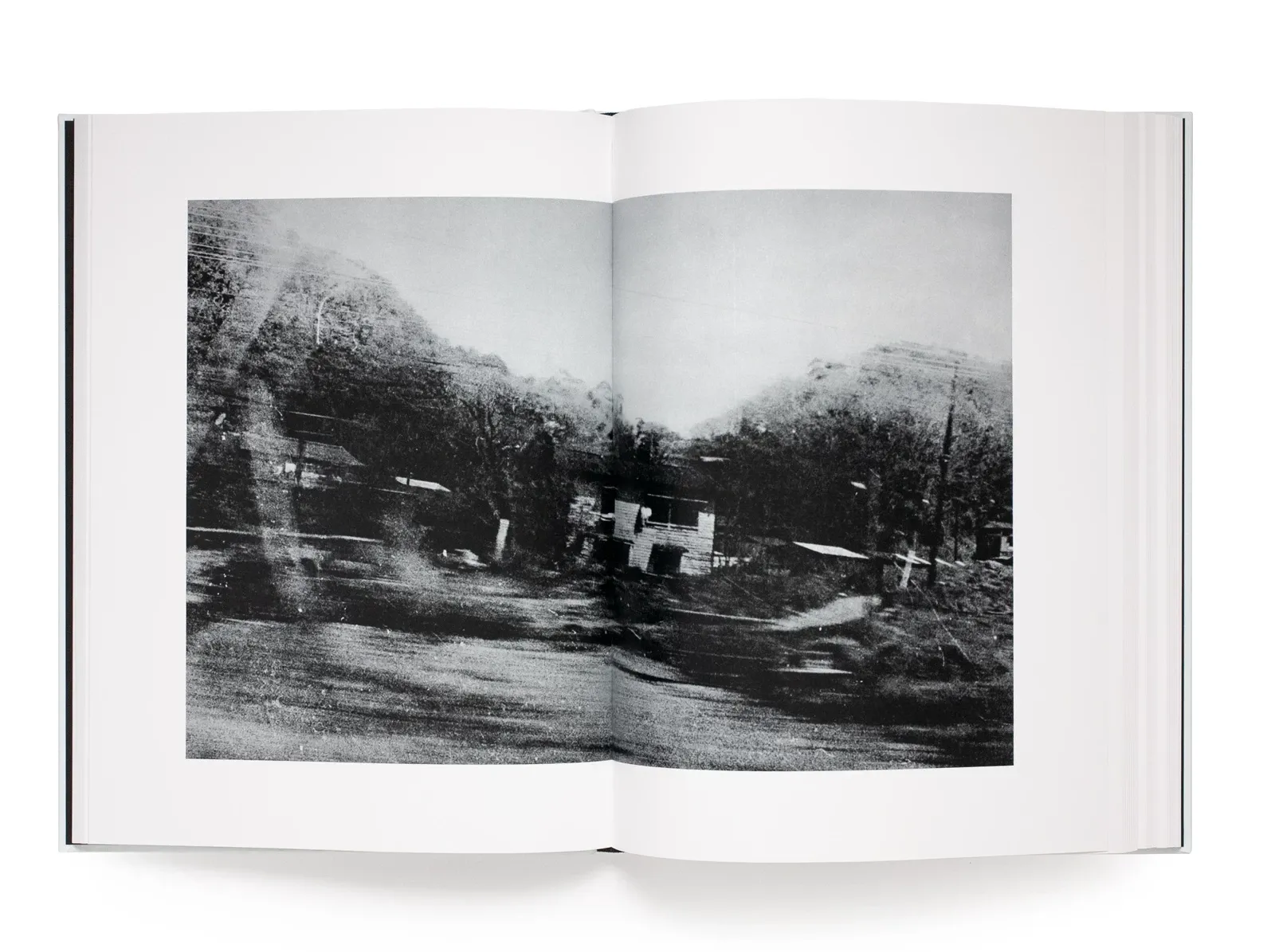 Daido Moriyama, Farewell Photography, plate 3