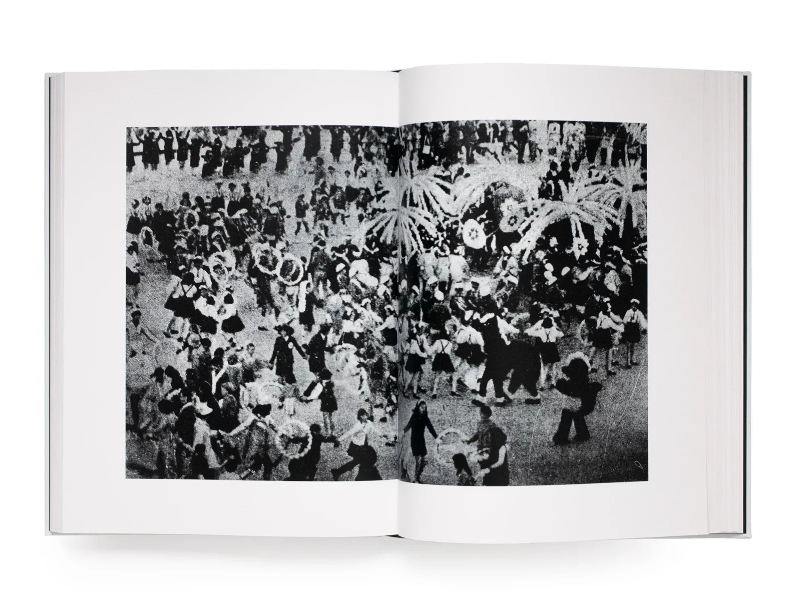 Daido Moriyama, Farewell Photography, plate 2