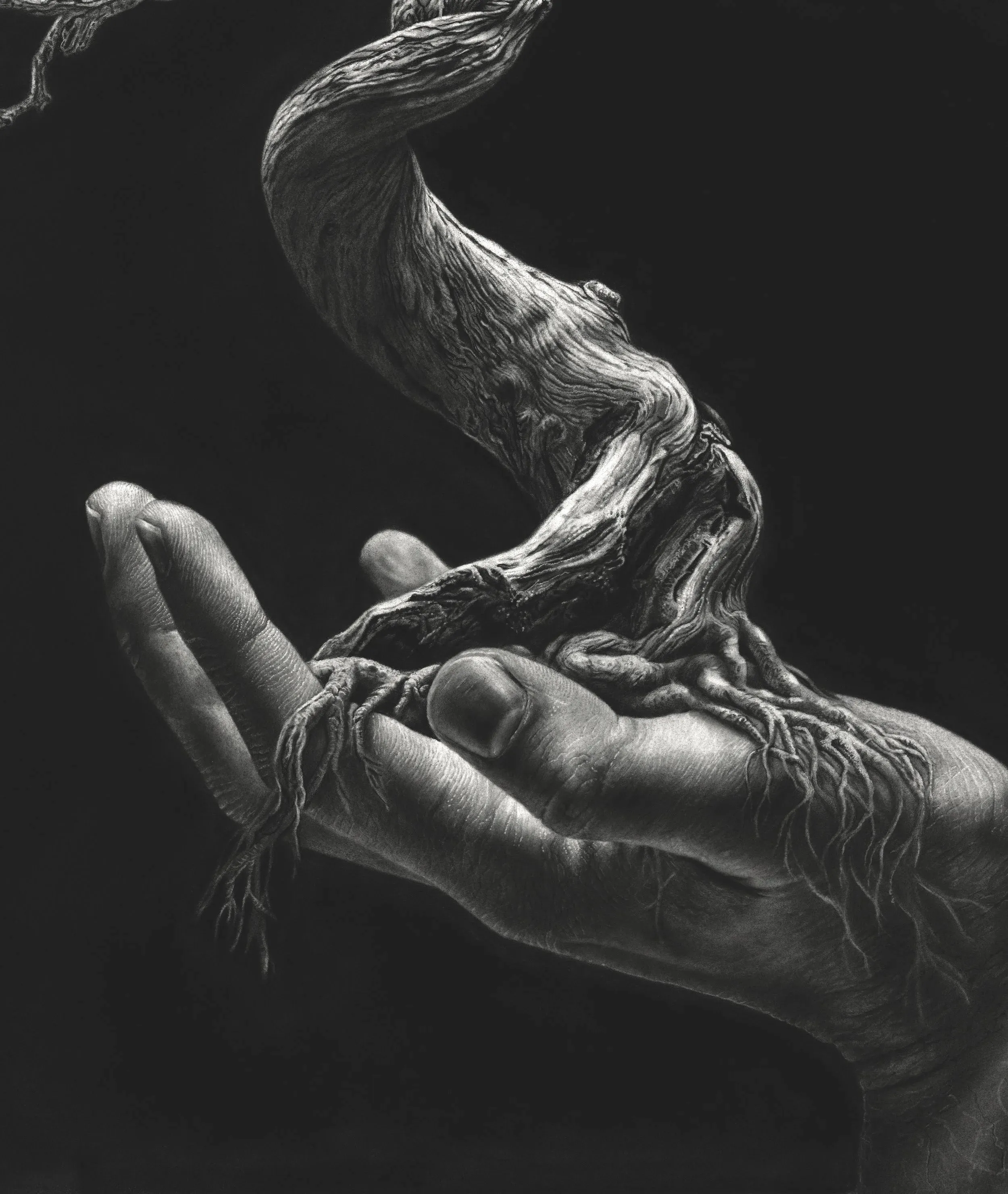Jono Dry, graphite drawings and prints, plate 8