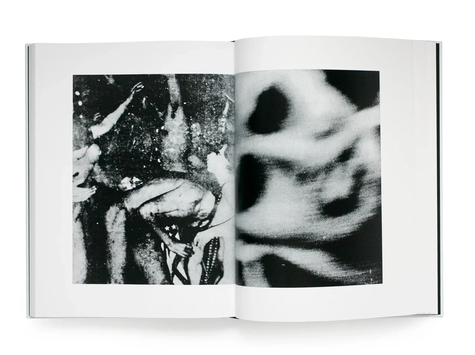 Daido Moriyama, Farewell Photography, plate 4