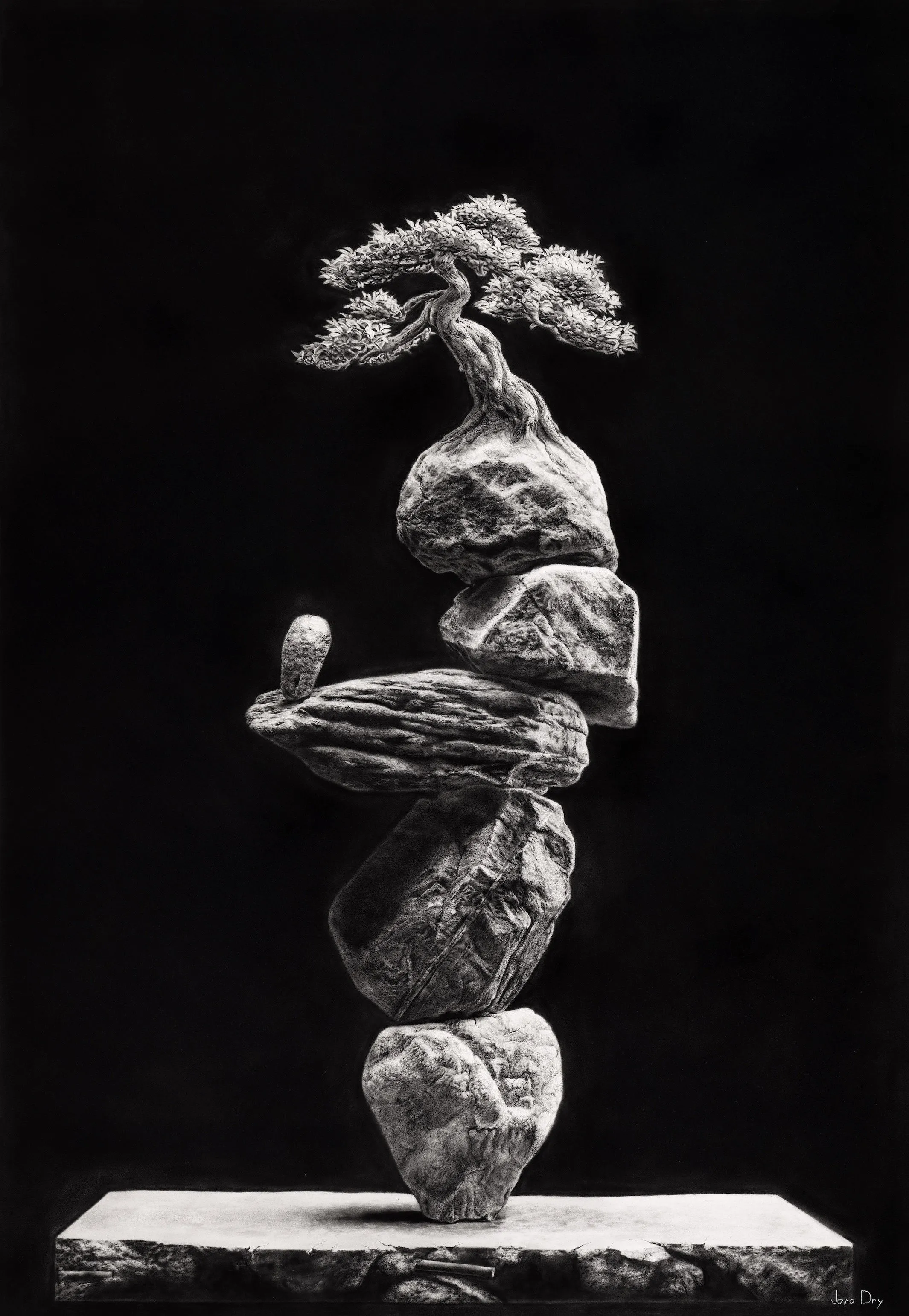 Jono Dry, graphite drawings and prints, plate 5