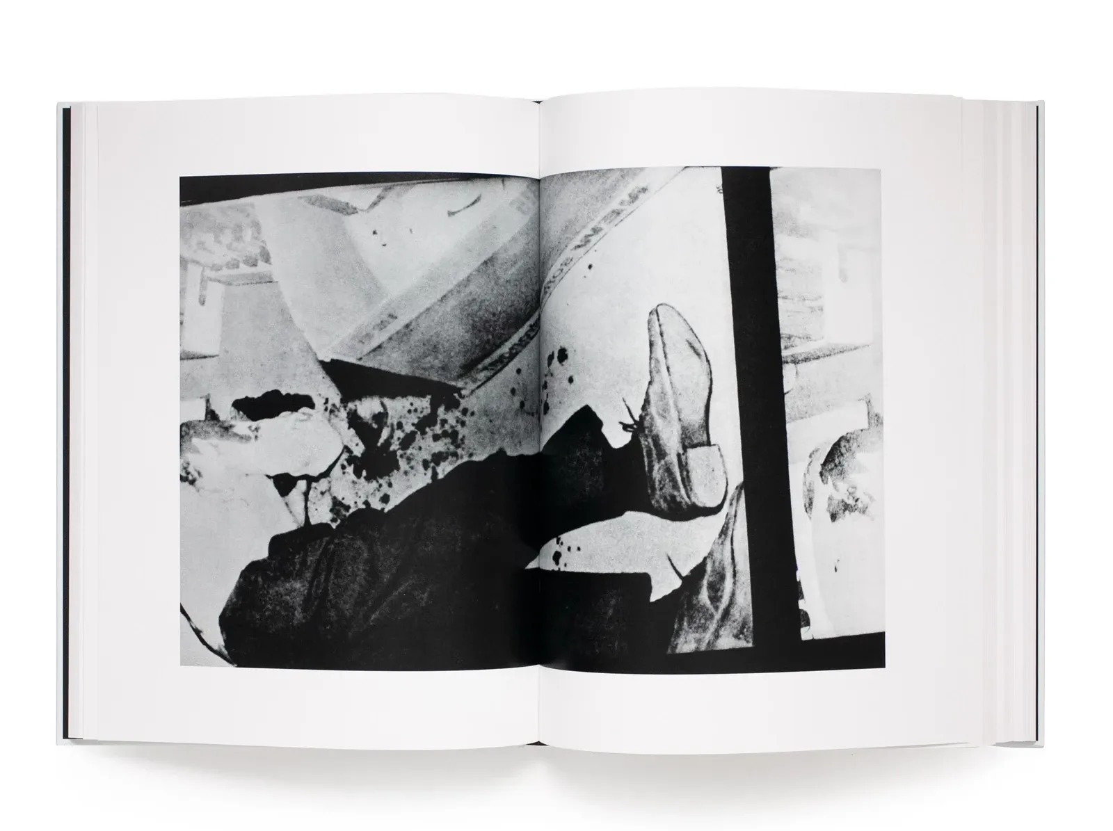 Daido Moriyama, Farewell Photography, plate 6