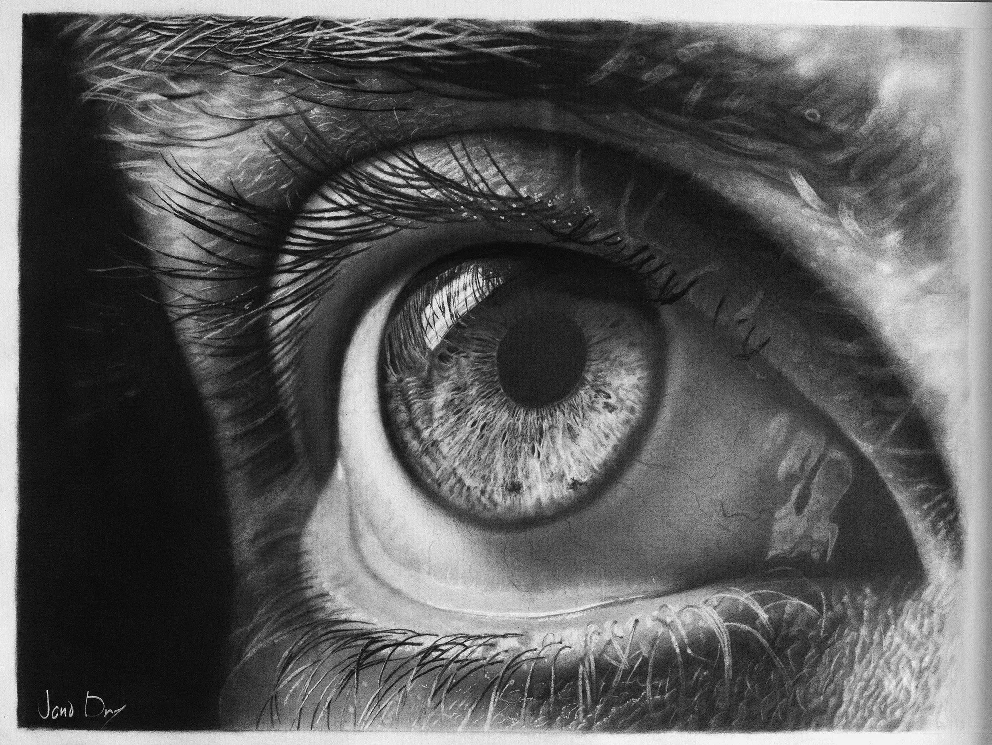 Jono Dry, graphite drawings and prints, plate 11