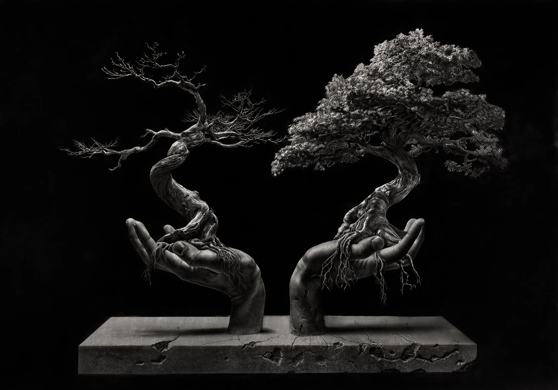 Jono Dry, graphite drawings and prints, plate 7